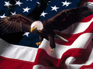 A bald eagle flying over an american flag.